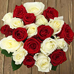 21 красная и белая местная роза