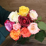 9 эквадорских роз разного цвета