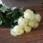 7 белых эквадорских роз 