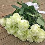 13 белых эквадорских роз 