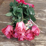 7 эквадорских розовых роз