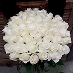 51 белая кенийская роза 