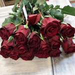 15 эквадорских красных роз